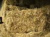 good horse hay near Tore roundabout ...